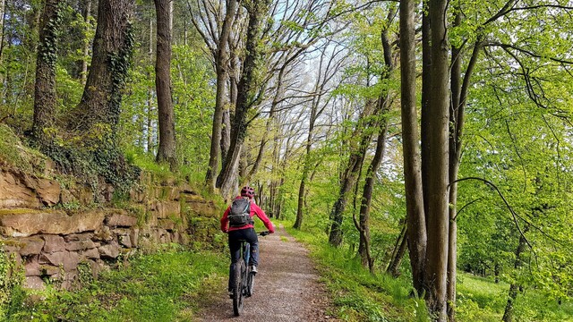 Radfahrer auf dem grünen Weg in Heumaden.